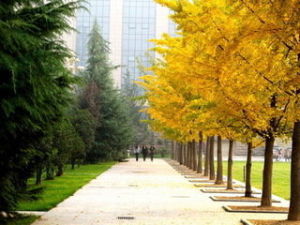 Shaanxi Normal University