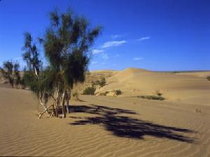 中國最美五大沙漠