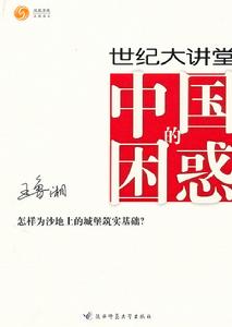 《中國的困惑》[圖書]