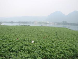 廣西省柳州市融安浮石鎮隘口村麻沙屯