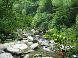 烏龍潭靜景