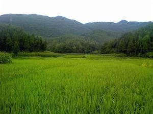 永勝鎮田園山水風光