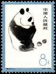 特59（3-1）熊貓