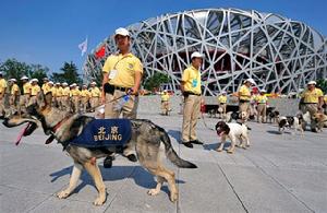 警犬