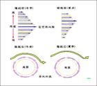 季風環流