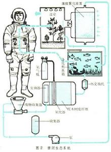 生命保障系統