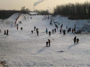 彎道山滑雪場