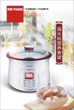 廣東天際電器有限公司