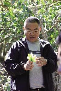 楊世華[中吉號茶業有限公司董事長]