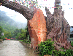 大桂山國家森林公園