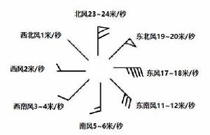 圖1  風羽示例