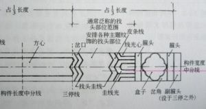 藻頭