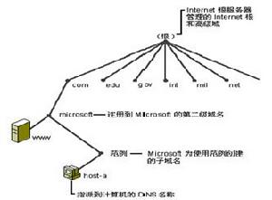 Internet域名