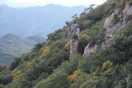 承德天鼓山森林公園