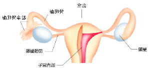 尿崩症