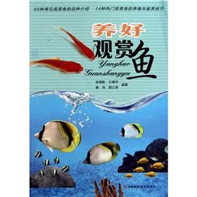 養好觀賞魚