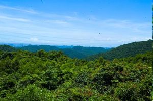 大嶺山森林公園