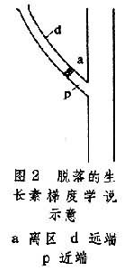 脫落（植物）