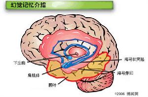 （圖）幻覺記憶介紹