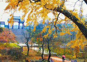 郯城清泉寺