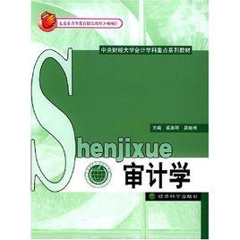 審計學[2004年奚淑琴所編寫圖書]