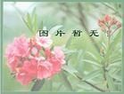 大拂子茅