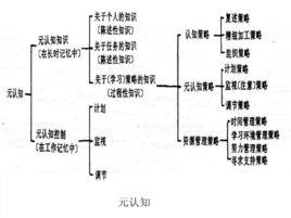 元認知[機械工業出版社]