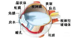 鞏膜炎