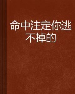 命中注定你逃不掉的