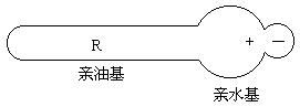 兩性表面活性劑