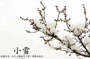 小雪[二十四節氣中的小雪]