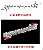 優a蝦青素