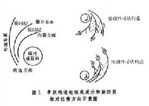 旋扭構造體系