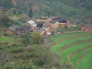 上野豬村