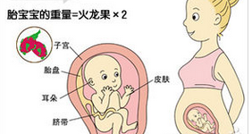 懷孕23周準爸媽指南