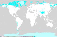 柯本氣候分類 - 極地帶