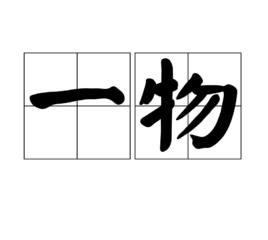 一物[漢語名詞]