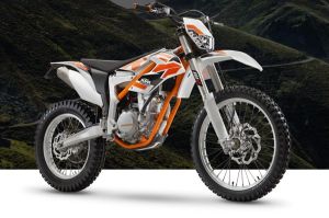 Freeride 250R