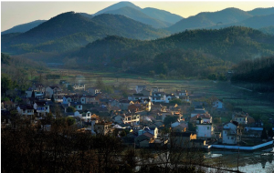 空巢村