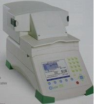 實時定量PCR