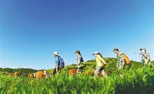 紅池壩草原