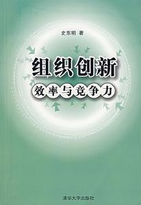 組織創新效率與競爭力