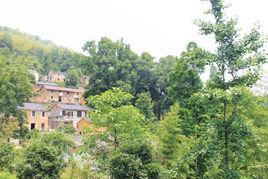 大山自然村[雲南大理永平縣廠街鄉七昌村委會大山自然村]