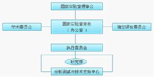 組織結構圖