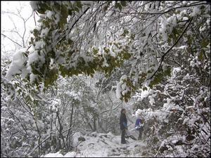 雪山女