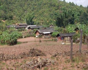 降香樹自然村