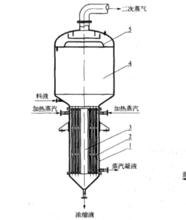 中央循環管式蒸發器