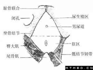 老年人大便失禁