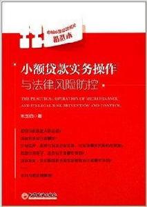 小額貸款實務操作與法律風險防控