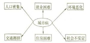 過度城市化 - 危害